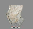 vase ; fragment, image 4/7