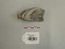 vase, image 1/2