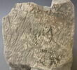 stèle ; ex-voto, image 3/3