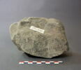 stèle ; ex-voto, image 2/2
