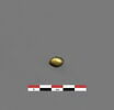 perle, image 3/3