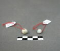 perle, image 1/4