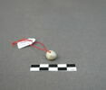 perle, image 3/4