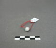 perle, image 4/4