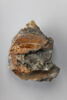 stèle  ; ex-voto, image 1/3