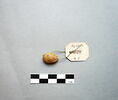 scarabée ; cachet, image 1/2