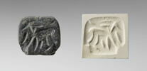cachet, image 1/6