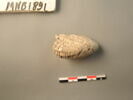 tablette, image 2/2