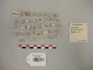 perle, image 1/2