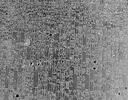 Code de Hammurabi, image 61/111