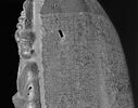 Code de Hammurabi, image 16/111