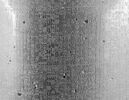 Code de Hammurabi, image 81/111