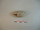 bulle de scellement, image 8/8