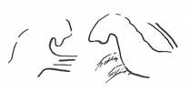 scellement, image 3/3