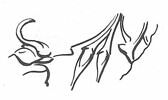 scellement, image 3/3