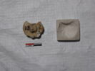 cachet, image 1/2