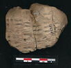 tablette, image 2/3