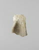 coquillage, image 1/4