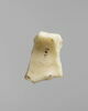 coquillage, image 2/4