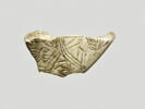 coquillage, image 1/2