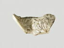 coquillage, image 2/2