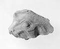 Fragment de relief : tête de dragon-serpent, image 2/3