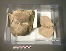 tête funéraire, image 2/2