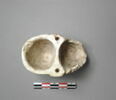 vase, image 2/2