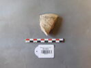 ostracon, image 1/2
