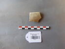 ostracon, image 1/2