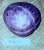 peson, image 3/3