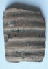 ostracon ; fragment, image 1/2