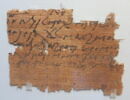 papyrus, image 2/2