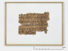 papyrus, image 1/2
