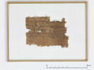 papyrus, image 2/2