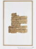 papyrus documentaire, image 4/4