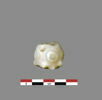 perle, image 1/2