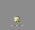 perle, image 2/2