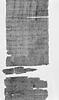 papyrus, image 6/7