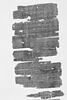 papyrus, image 7/7