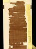 papyrus, image 3/10