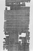 papyrus, image 7/10