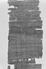 papyrus, image 8/10
