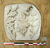 moulage, image 2/2