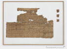 papyrus, image 1/2