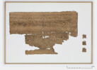 papyrus, image 2/2