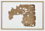 papyrus, image 1/2