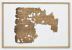 papyrus, image 2/2