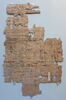 papyrus, image 2/2