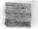 papyrus, image 2/2